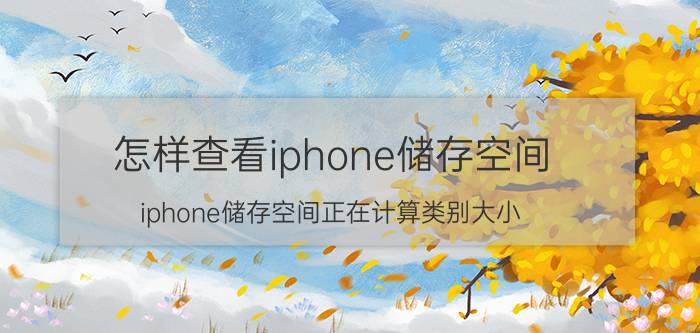 怎样查看iphone储存空间 iphone储存空间正在计算类别大小？